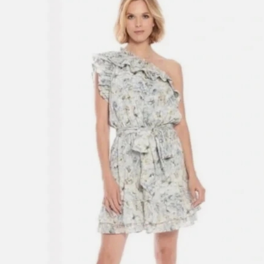 Happy X Nature One-Shoulder Ruffle Dress Size XL